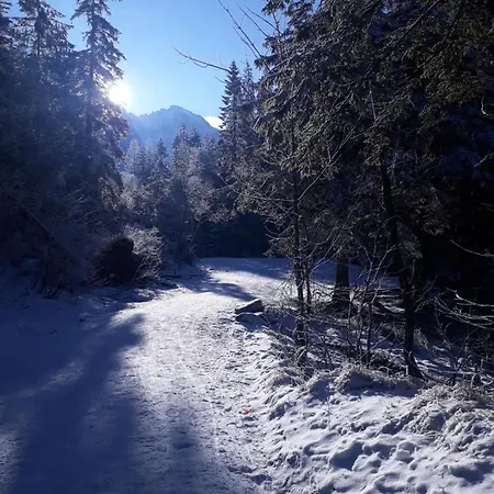 شاليه Goralski U Slodkiego *