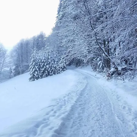 شاليه Goralski U Slodkiego