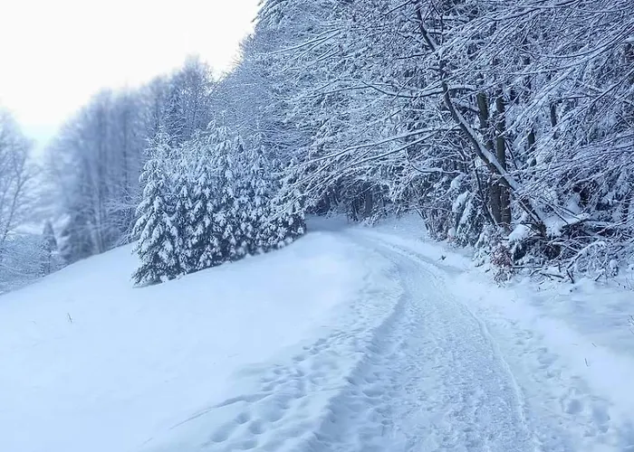 Chalet Goralski U Slodkiego